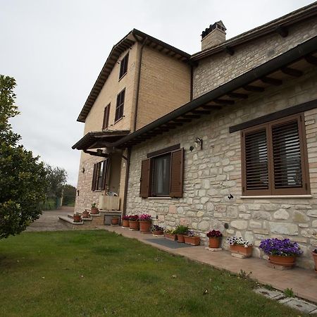 Assisana Affittacamere Santa Maria Degli Angeli  Bagian luar foto